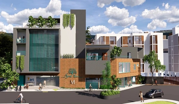 Featured Image of Soul Tree